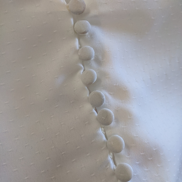 Dynamite Long Sleeve Blouse with Buttons - Picture 3 of 3